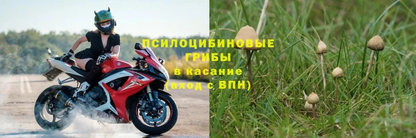 ешки Белоозёрский