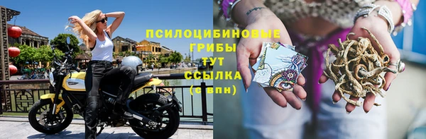 ешки Белоозёрский