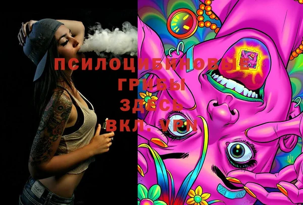 ешки Белоозёрский