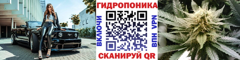 Купить  Черногорск  Шишки марихуана MAZAR 